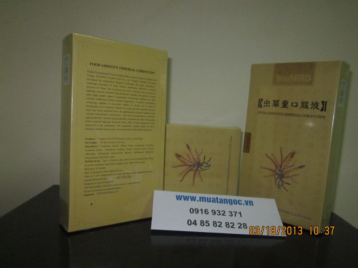 Đông trùng Hạ Thảo YouNeed